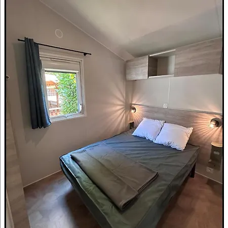 Kemp Happy Pyrenees Saligos