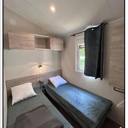 Happy Pyrenees Kemp Saligos